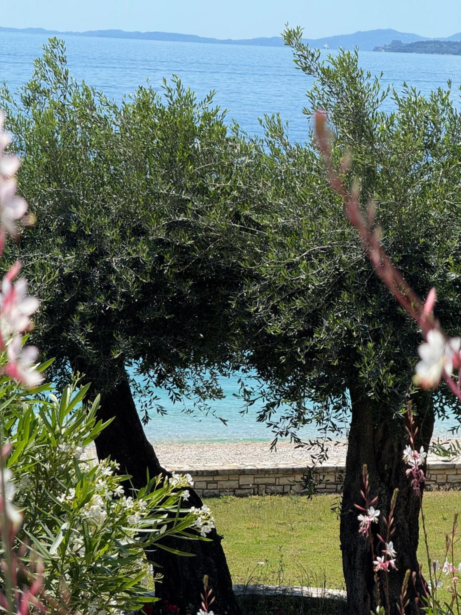 Nissaki Bay Nisaki (Corfu) Exterior foto